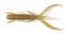 HOGY SHRIMP  (Нимфа 3)