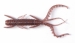 HOGY SHRIMP  (Нимфа 3)