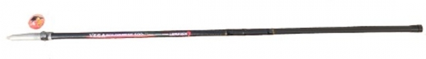 Удилище VEGA BOLOGNESE 600 5-20g Konger