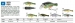 Воблер Kamatsu SEEK FISH 3,5cm /1,5g F( 0,2-1,0m)