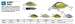 Воблер Kamatsu HUMPY SHAD 3,2cm /1,8g S(0,2-1,0m) (HS)