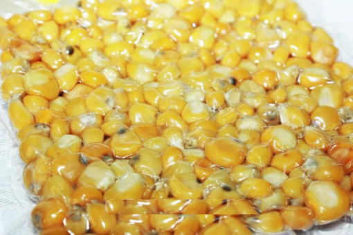 Кукуруза цельная вареная в вакуумной упаковке